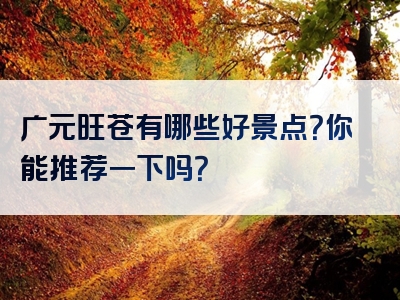 广元旺苍有哪些好景点？你能推荐一下吗？