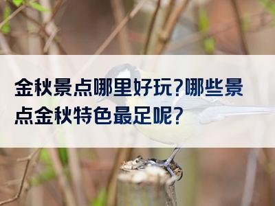 金秋景点哪里好玩？哪些景点金秋特色最足呢？