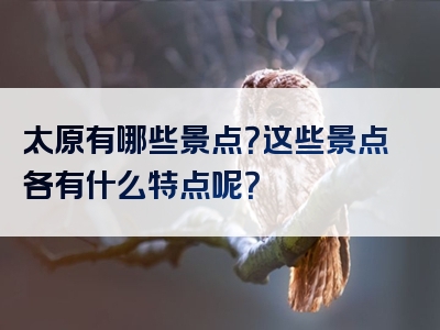 太原有哪些景点？这些景点各有什么特点呢？