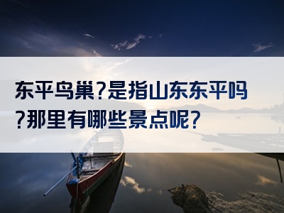 东平鸟巢？是指山东东平吗？那里有哪些景点呢？