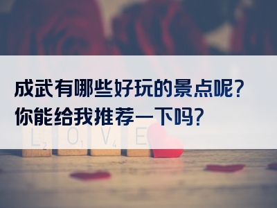 成武有哪些好玩的景点呢？你能给我推荐一下吗？