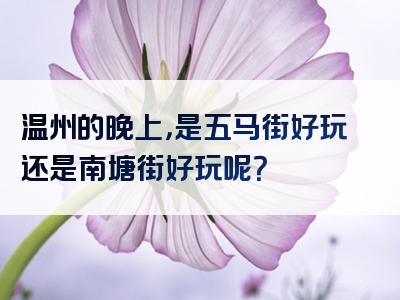 温州的晚上，是五马街好玩还是南塘街好玩呢？