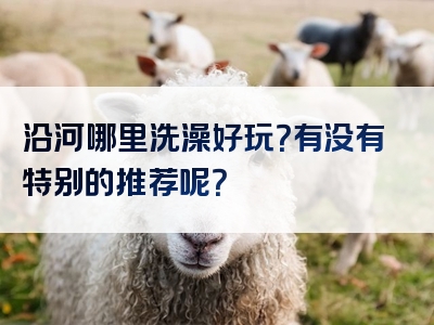 沿河哪里洗澡好玩？有没有特别的推荐呢？