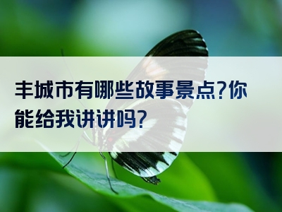 丰城市有哪些故事景点？你能给我讲讲吗？