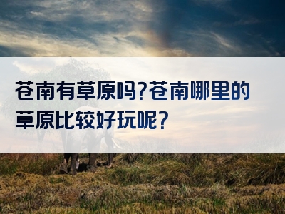 苍南有草原吗？苍南哪里的草原比较好玩呢？