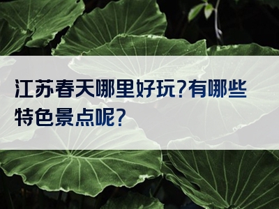 江苏春天哪里好玩？有哪些特色景点呢？
