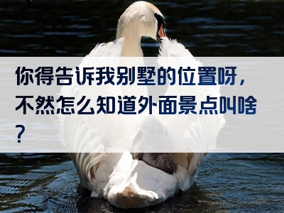 你得告诉我别墅的位置呀，不然怎么知道外面景点叫啥？