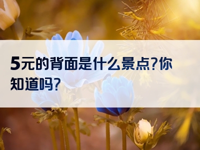 5元的背面是什么景点？你知道吗？