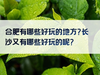 合肥有哪些好玩的地方？长沙又有哪些好玩的呢？