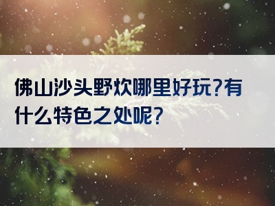 佛山沙头野炊哪里好玩？有什么特色之处呢？