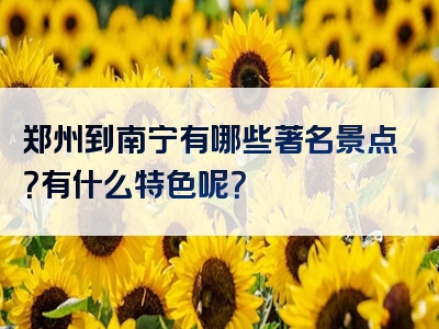 郑州到南宁有哪些著名景点？有什么特色呢？