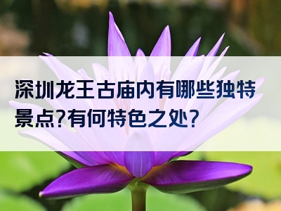 深圳龙王古庙内有哪些独特景点？有何特色之处？