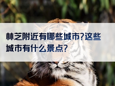 林芝附近有哪些城市？这些城市有什么景点？