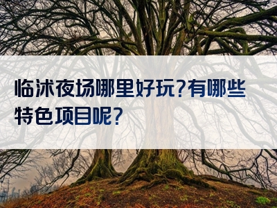 临沭夜场哪里好玩？有哪些特色项目呢？
