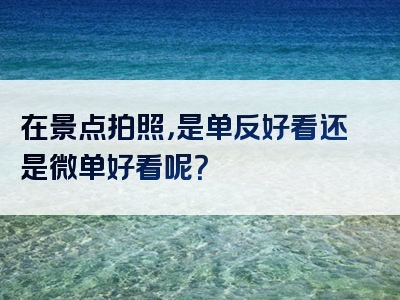 在景点拍照，是单反好看还是微单好看呢？