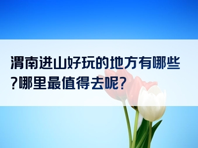 渭南进山好玩的地方有哪些？哪里最值得去呢？