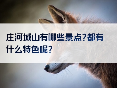 庄河城山有哪些景点？都有什么特色呢？