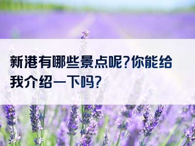 新港有哪些景点呢？你能给我介绍一下吗？
