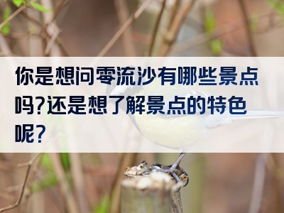 你是想问零流沙有哪些景点吗？还是想了解景点的特色呢？
