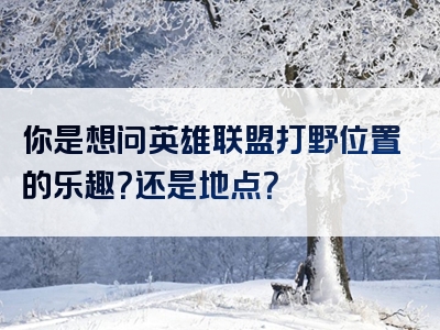 你是想问英雄联盟打野位置的乐趣？还是地点？
