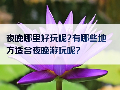 夜晚哪里好玩呢？有哪些地方适合夜晚游玩呢？