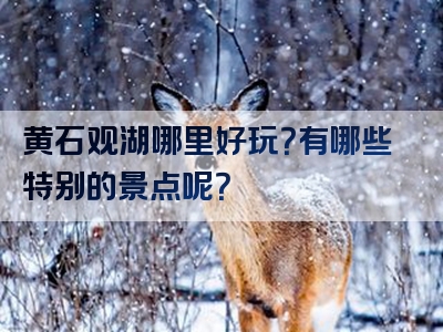 黄石观湖哪里好玩？有哪些特别的景点呢？