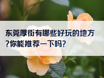 东莞厚街有哪些好玩的地方？你能推荐一下吗？