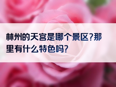 林州的天宫是哪个景区？那里有什么特色吗？