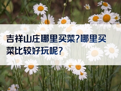 吉祥山庄哪里买菜？哪里买菜比较好玩呢？