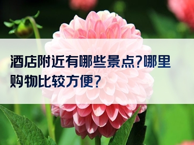 酒店附近有哪些景点？哪里购物比较方便？