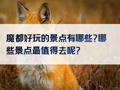 魔都好玩的景点有哪些？哪些景点最值得去呢？