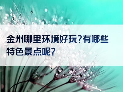 金州哪里环境好玩？有哪些特色景点呢？