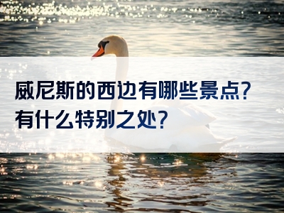 威尼斯的西边有哪些景点？有什么特别之处？