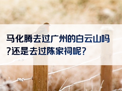 马化腾去过广州的白云山吗？还是去过陈家祠呢？