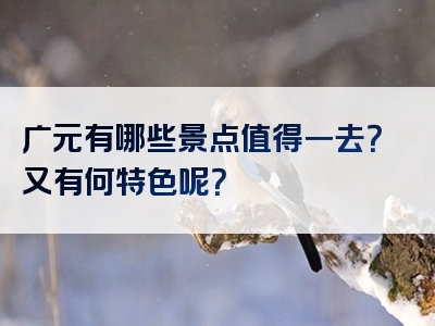 广元有哪些景点值得一去？又有何特色呢？