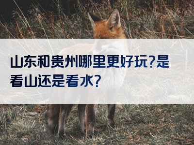 山东和贵州哪里更好玩？是看山还是看水？