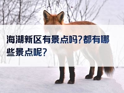 海湖新区有景点吗？都有哪些景点呢？