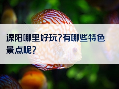 溧阳哪里好玩？有哪些特色景点呢？