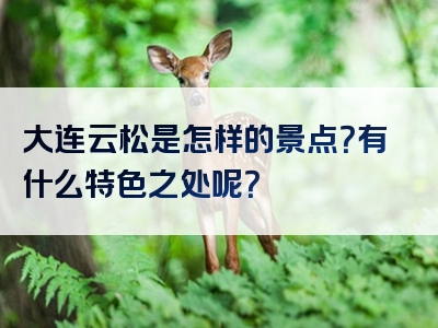 大连云松是怎样的景点？有什么特色之处呢？