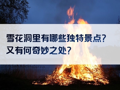 雪花洞里有哪些独特景点？又有何奇妙之处？