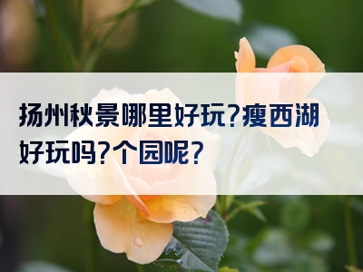 扬州秋景哪里好玩？瘦西湖好玩吗？个园呢？