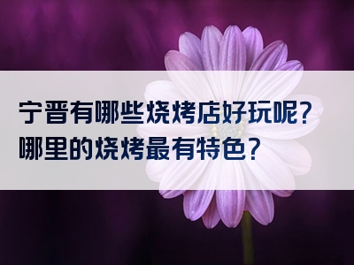 宁晋有哪些烧烤店好玩呢？哪里的烧烤最有特色？