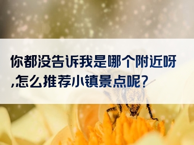 你都没告诉我是哪个附近呀，怎么推荐小镇景点呢？