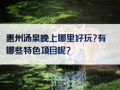 惠州汤泉晚上哪里好玩？有哪些特色项目呢？