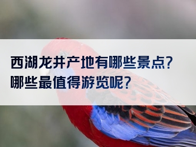 西湖龙井产地有哪些景点？哪些最值得游览呢？
