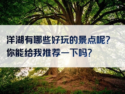 洋湖有哪些好玩的景点呢？你能给我推荐一下吗？