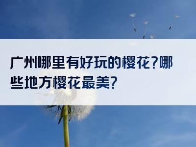 广州哪里有好玩的樱花？哪些地方樱花最美？