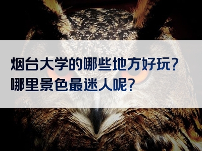 烟台大学的哪些地方好玩？哪里景色最迷人呢？