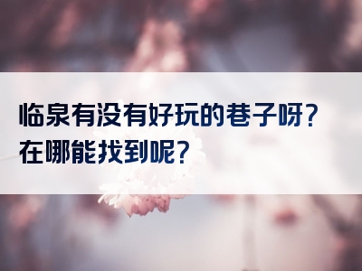 临泉有没有好玩的巷子呀？在哪能找到呢？