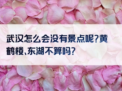 武汉怎么会没有景点呢？黄鹤楼、东湖不算吗？